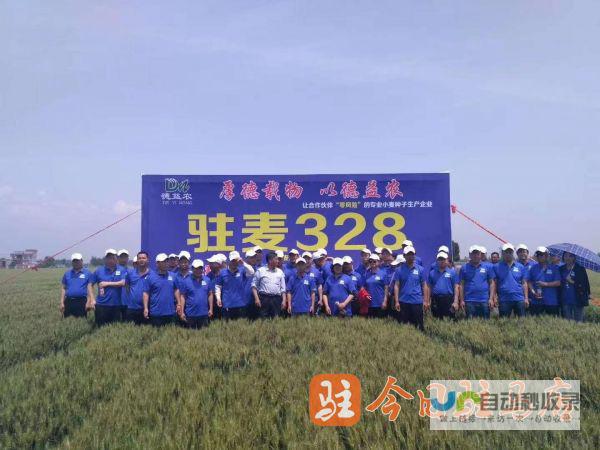 驻马店网站开发：提升品牌形象，助力企业发展