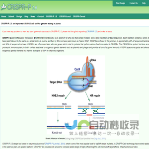 CRISPR-P v2.0