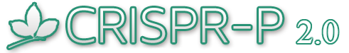 CRISPR-P v2.0